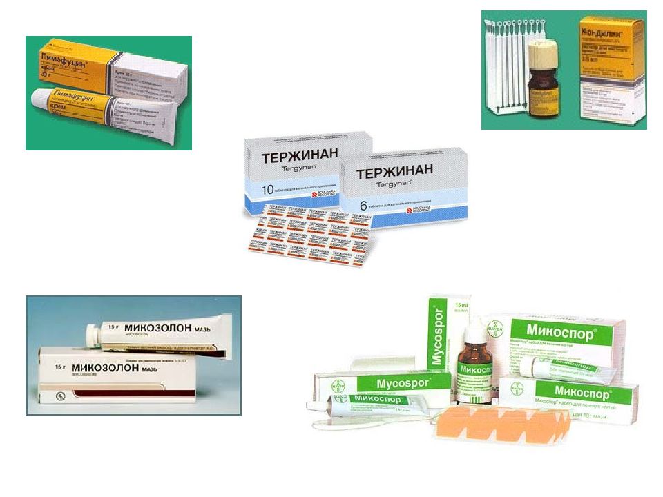 Современные противогрибковые средства презентация