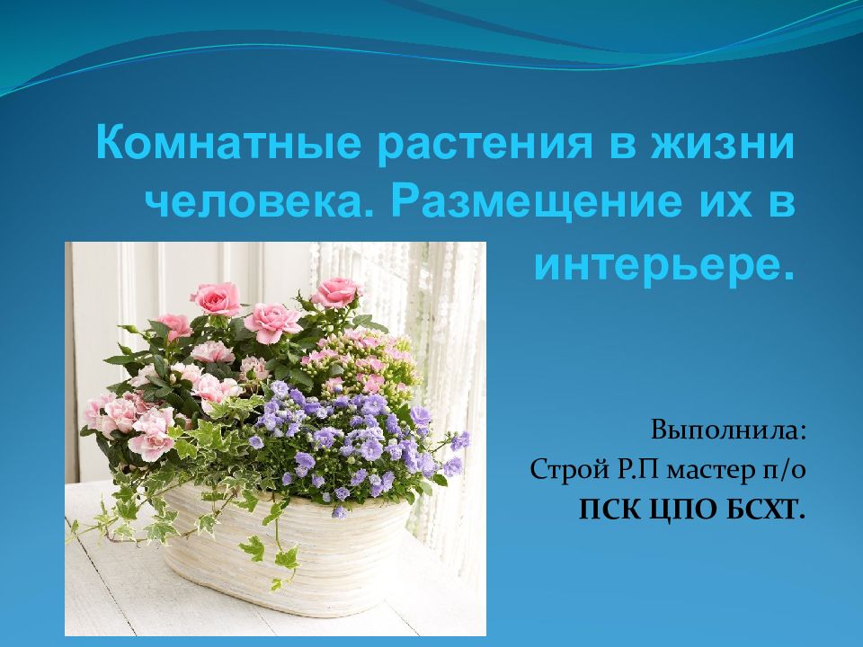 Комнатные растения в жизни человека. Размещение их в интерьере.