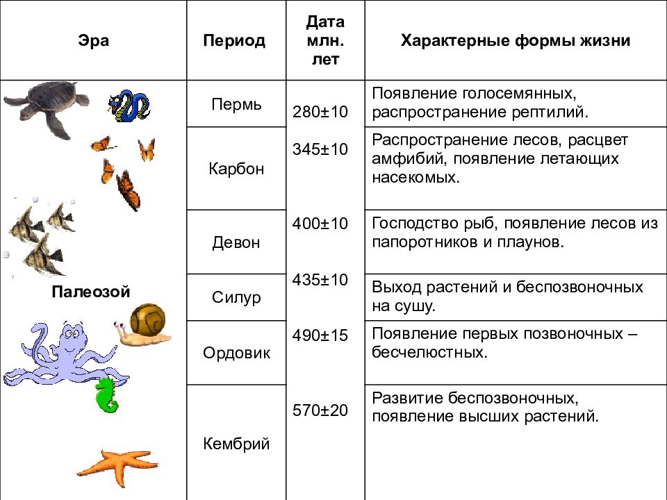 Презентация на тему основные этапы развития животного мира на земле