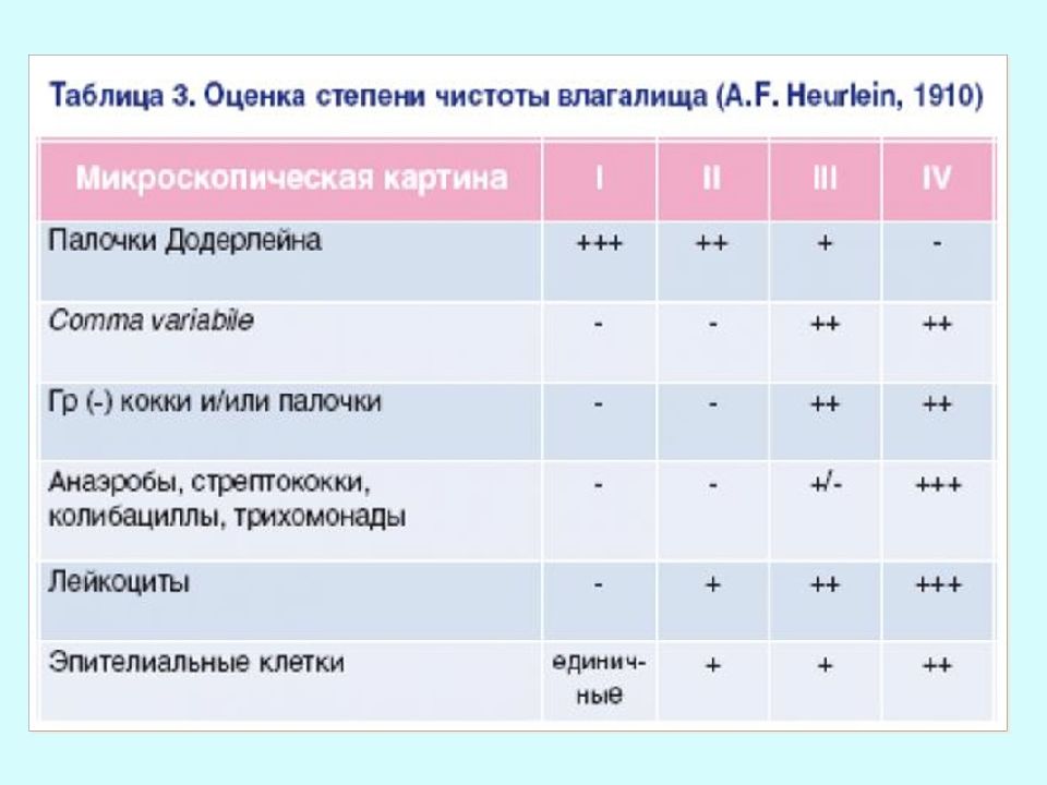 Микроскопическая картина v что это значит у женщин