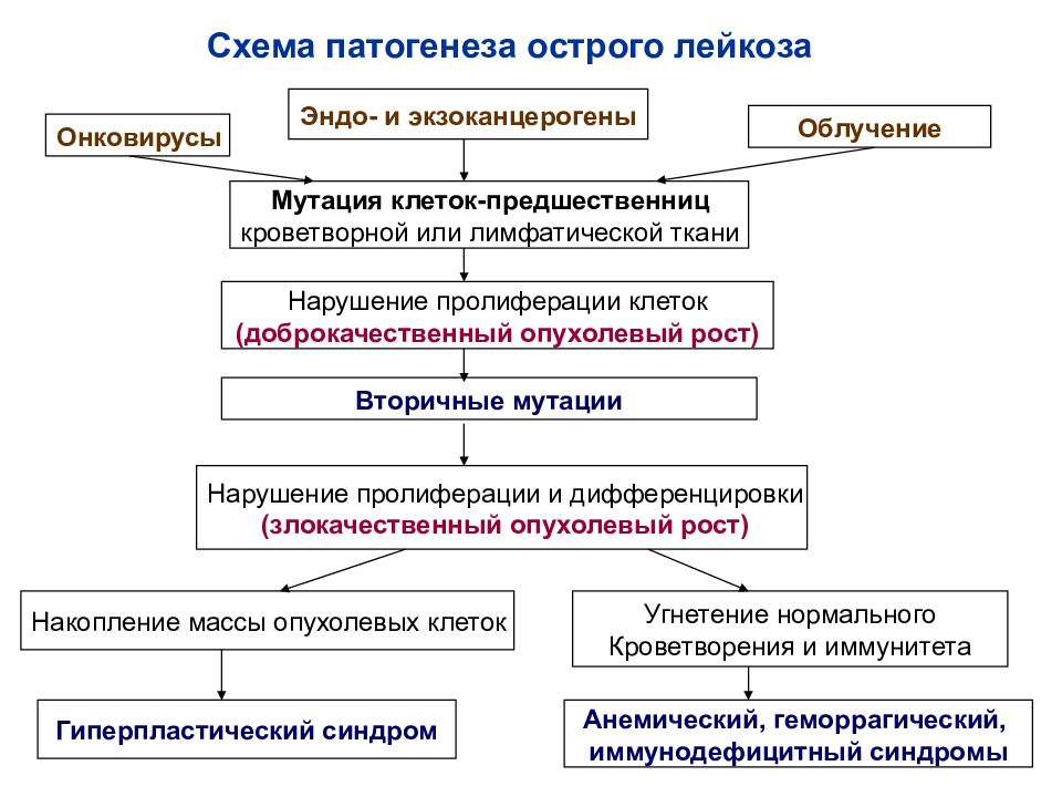 Острые лимфобластные лейкозы этиология патогенез клиническая картина