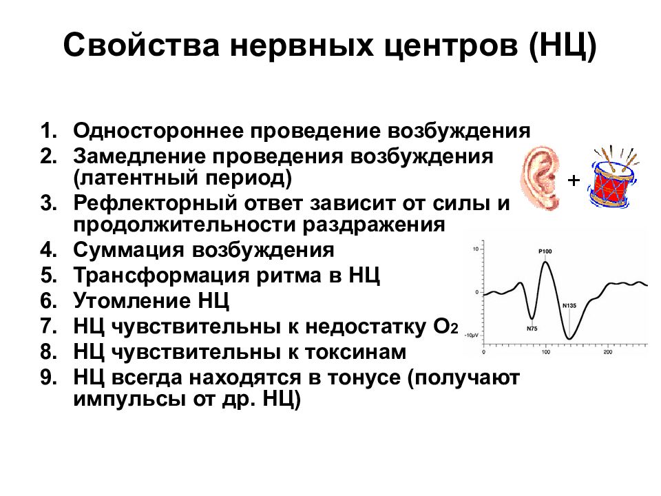 Возбуждение нервных центров. Свойства нервных центров одностороннее проведение. Трансформация нервного центра. Свойства нервных центров одностороннее проведение возбуждения. Утомляемость нервных центров.