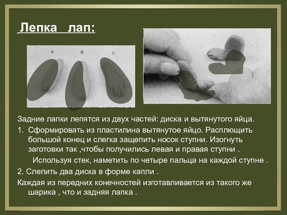 Лапы кошки из полимерной глины. Птичья лапа игрушка. Слепить лапы. Как слепить лапы. Лапка котика из глины полимерной.