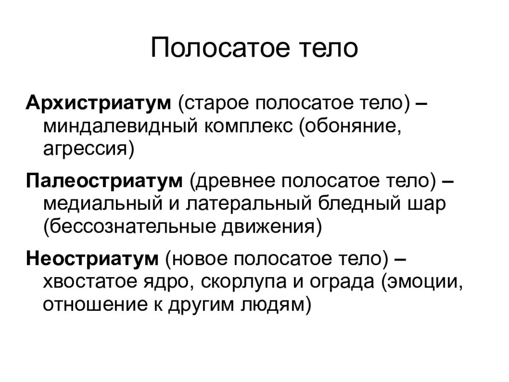 Полосатое тело. Рео полосатый. Полосатое тело функции. Архистриатум.