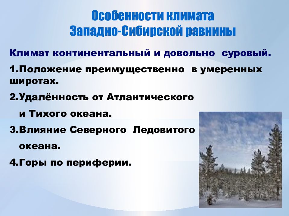 В сибири резко континентальный. Климат Западно сибирской равнины. Западно-Сибирская равнина презентация. Западно-Сибирская равнина зима. Климат Западно сибирской равнины картинка.