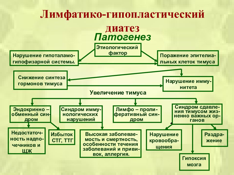 Лимфатико гипопластический диатез презентация