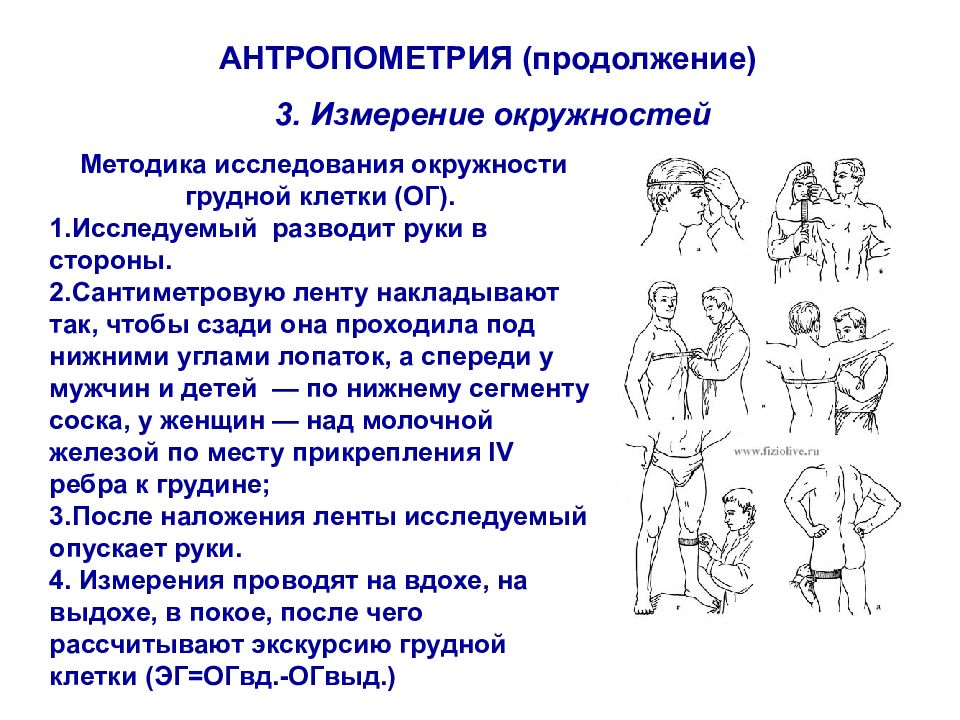 Алгоритм массы тела. Измерение окружности грудной клетки алгоритм. Алгоритм измерения антропометрических показателей. Антропометрия измерение окружности грудной клетки. Алгоритм измерения антропометрических показателей пациента.