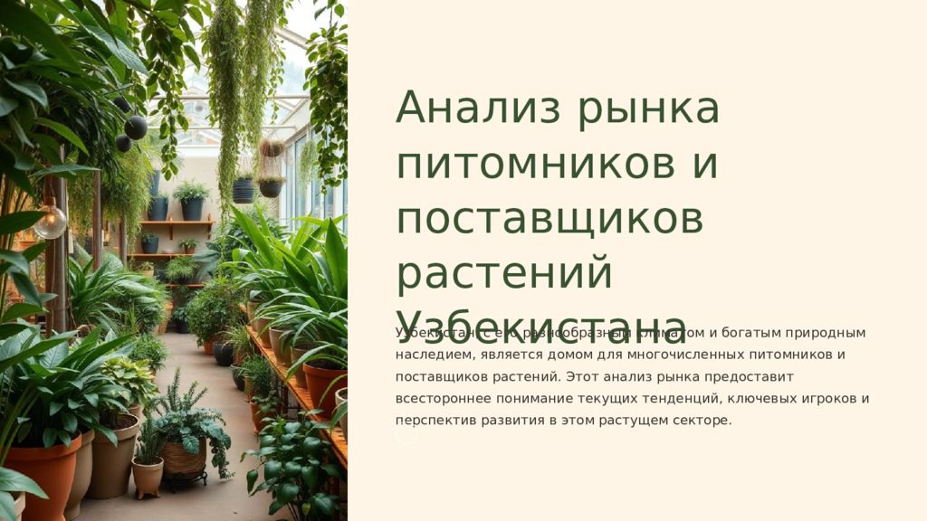Анализ рынка питомников и поставщиков растений Узбекистана Узбекистан, с его