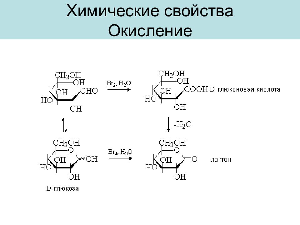 Химические свойства окислительные. Окисление углеводов биохимия. Химические свойства углеводов биохимия. Окисление циклогептана. Циклогептан реакция окисления.