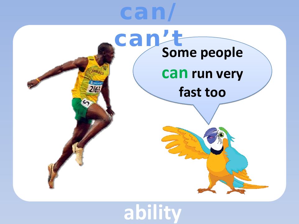 Can Run. He can Run very fast спеуиальныц аопрос. Does it Run very fast. She can Run very fast v.