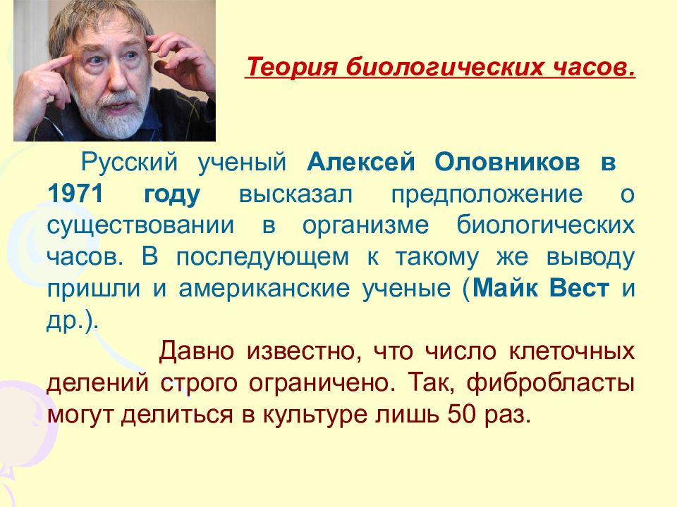 Биологическая теория. Теория биологических часов. Теория биологических часов старения. Ученый Оловников Алексей Оловников. Гипотеза биологических часов.