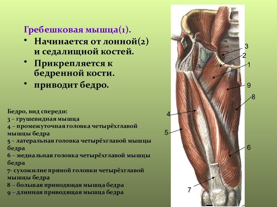 Травмы верхних и нижних конечностей презентация