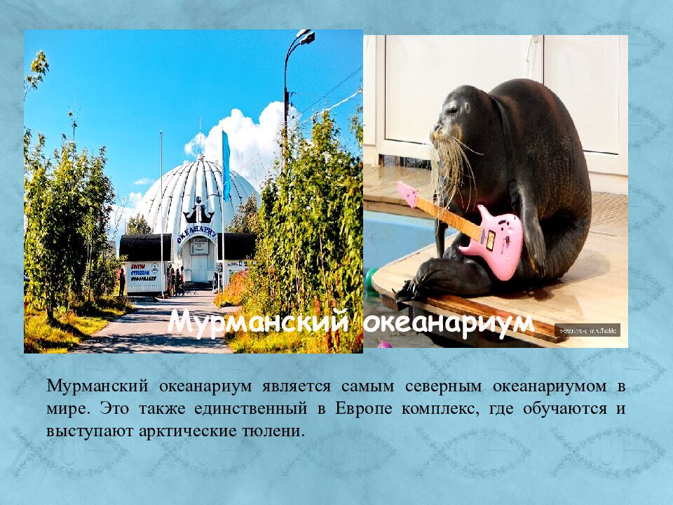 Мурманский океанариум