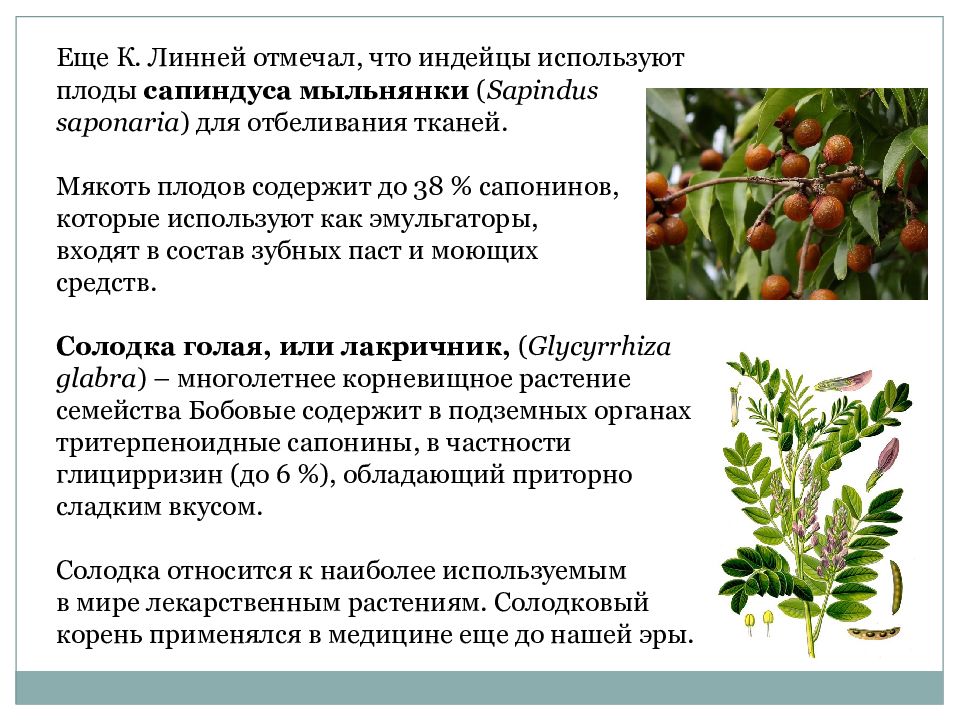 Вторичный метаболизм растений презентация