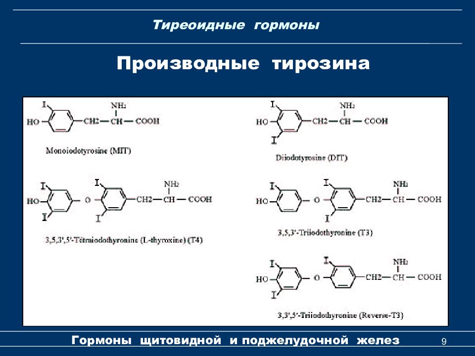 Производные железы