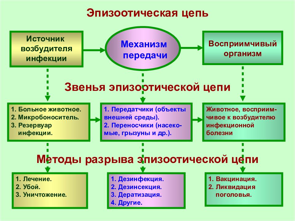 Схема эпидемического процесса при туберкулезе