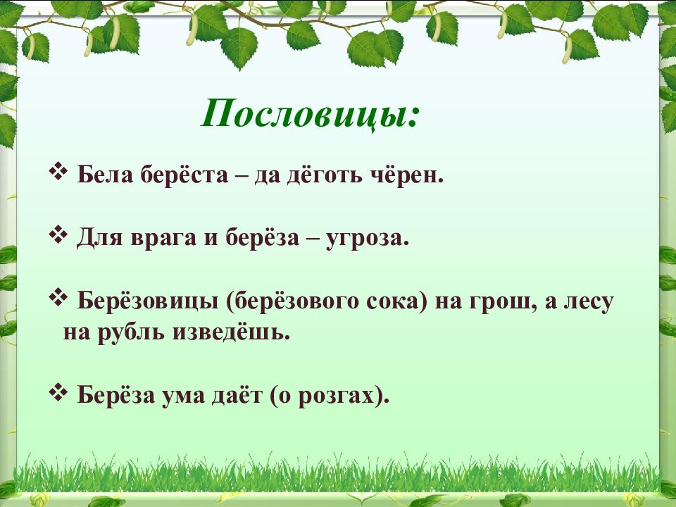 Поговорка пол. Пословицы о Березе. Пословицы и поговорки о Березе. Пословицы и поговорки о Березе для детей. Пословицы о Березе для детей.