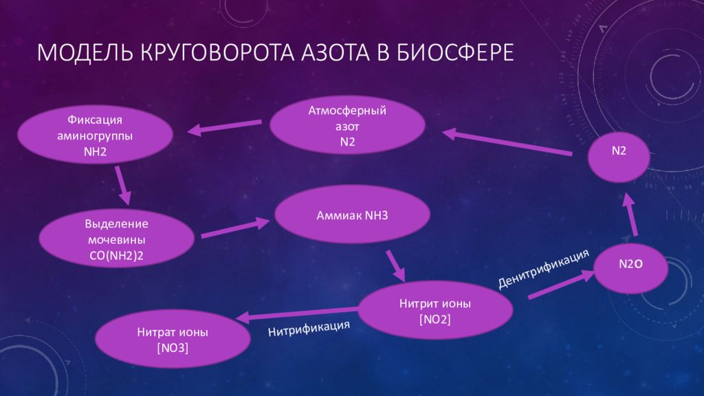 Презентация на тему круговорот азота в природе