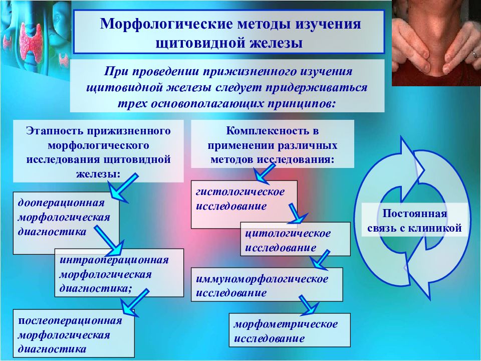 Щитовидная железа исследование. Методы исследования щитовидной. Методы изучения щитовидной железы. Диагностики заболеваний щитовидной железы. Инструментальные методы исследования щитовидной железы.