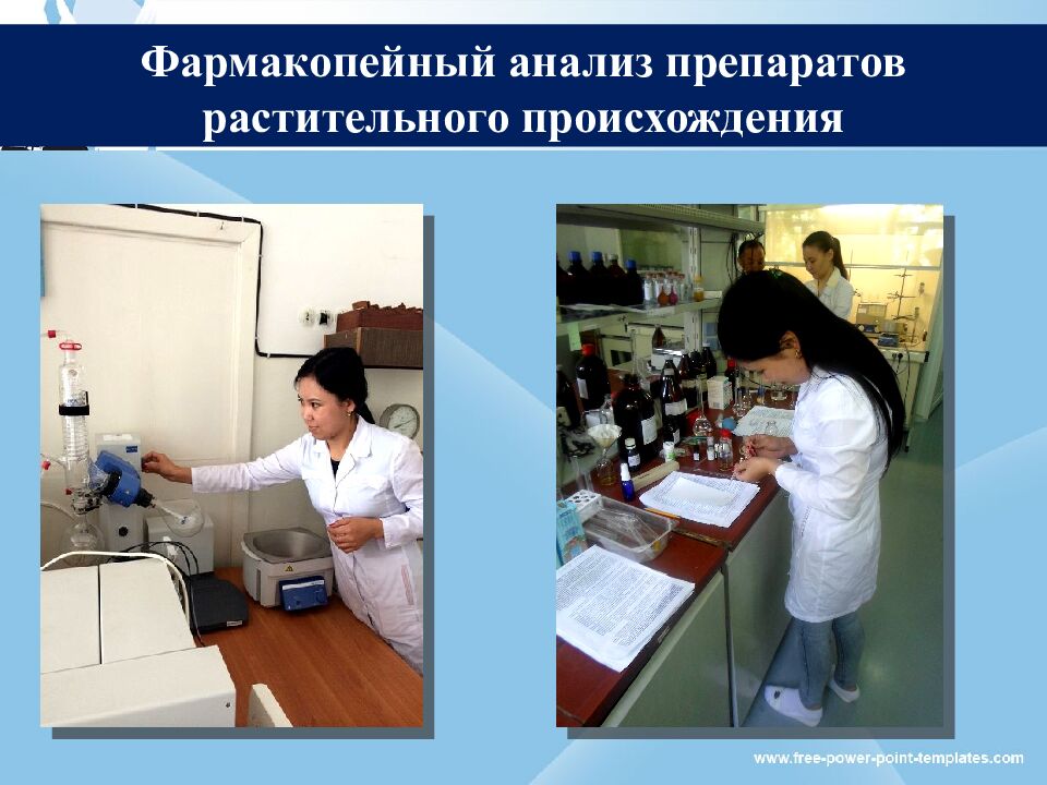 Образовательные программы и виды практики кафедры химии и фармацевтической