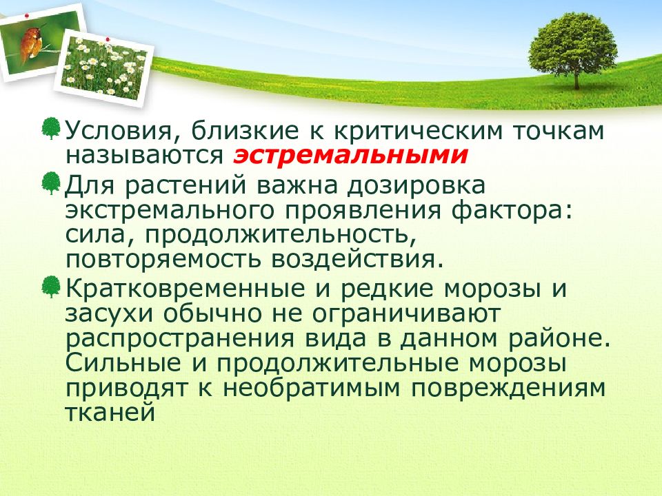 Близко условие. Условия жизни близкие к критическим для выживания точкам называют. Условия близкие к критическим точкам особенно тяжелы для выживания. Песиумом.