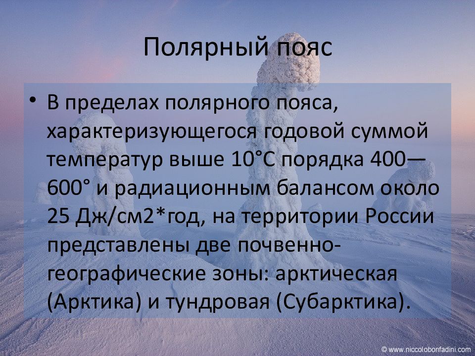 Арктический пояс. Полярный почвенный пояс. Сообщение Полярный пояс. Особенности полярного пояса. Полярный пояс характеристика.