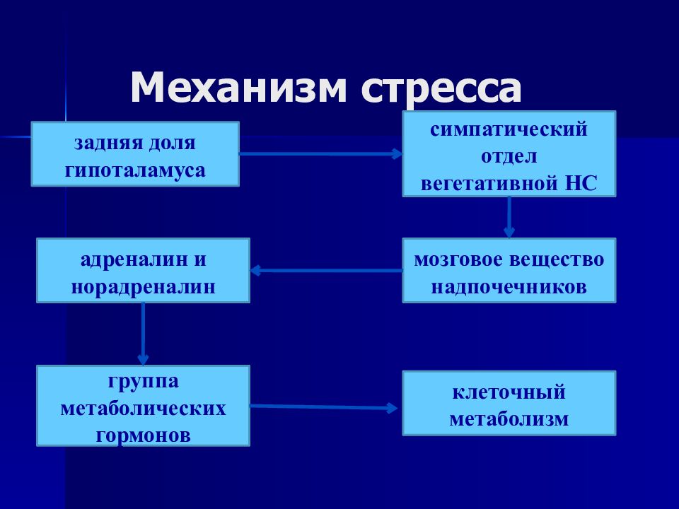 Группы метаболизма. Механизм стресса. Механизмы стрессов.