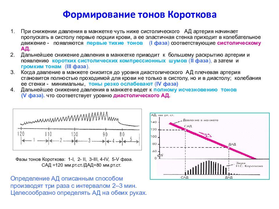 Давление гомель. Фазы тонов Короткова. Методика определения ад по методу Короткова. Метод Короткова для измерения артериального давления фазы. 5 Фаз тонов Короткова.