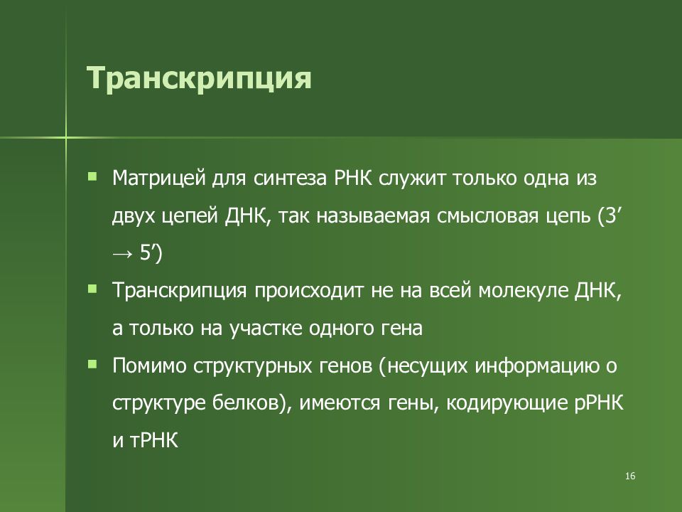 Цепь смысловая нижняя транскрибируемая. Служит матрицей для синтеза РНК. Матрица для синтеза РНК. Смысловая и транскрибируемая цепь. Смысловая транскрипция РНК.