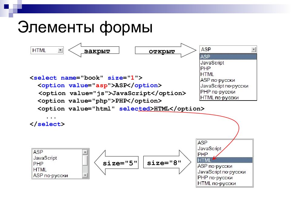 Size html name. Элементы формы html. Основные элементы html-форм. Ячейки форма html. Форма php.