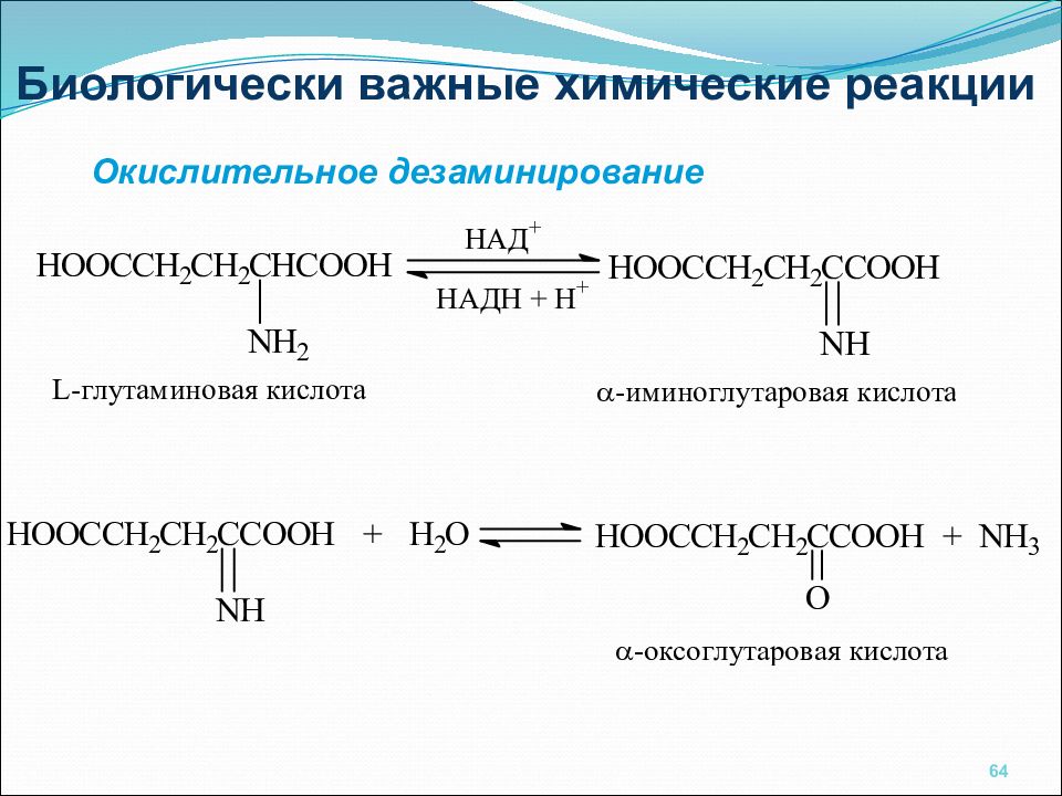 Презентация про аминокислоты