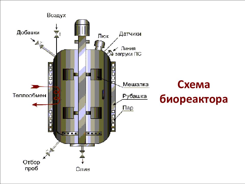 Биореактор. Ферментер для культивирования микроорганизмов схема. Биореактора (ферментера схема. Барботажный ферментер схема. Схема биореактора с механическим перемешиванием.