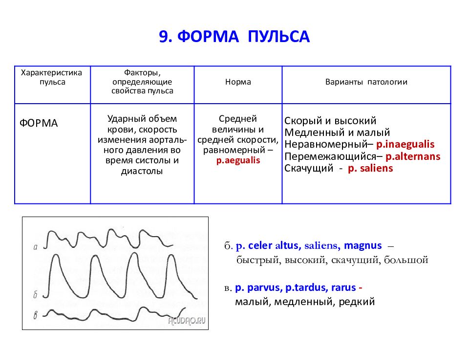 Свойства пульса схема