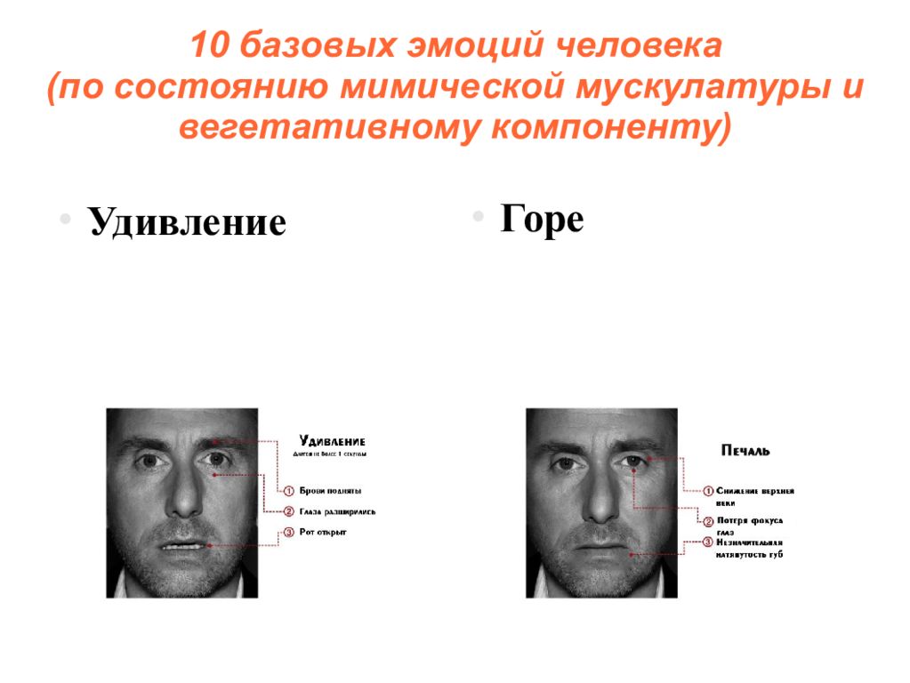 Эмоциональное описание. Базовые эмоции человека. Основные человеческие эмоции. Проявления базовых эмоций. Пять базовых эмоций человека.