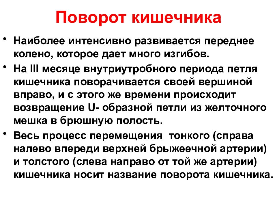 Интенсивно развивающийся. Этапы вращения кишечника. Поворот кишечника в эмбриогенезе. Поворот кишечника у детей.