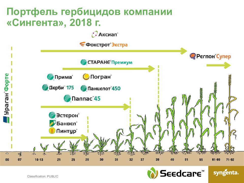 Схема защиты рапса ярового