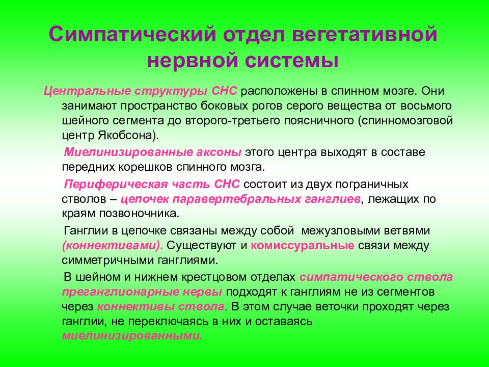 Симпатический отдел усиливает. Симпатическая нервная система. Симпатический отдел нервной системы. Отделы вегетативной нервной системы. Характеристика отделов вегетативной нервной системы.