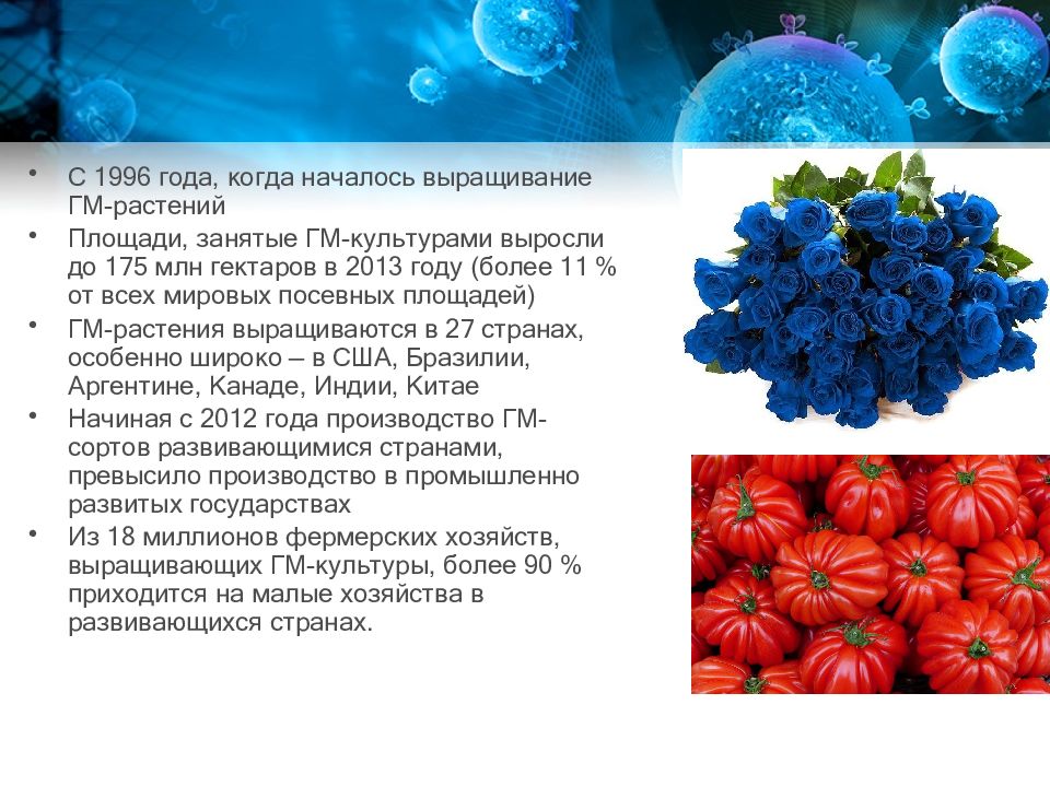 Селекция и биотехнология презентация