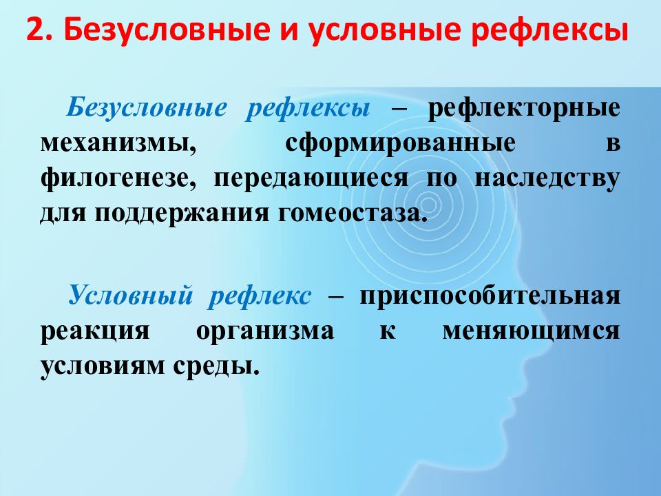 условные рефлексы 1 передаются по наследству. условные рефлексы 1 передаются по наследству. безусловные рефлексы передаются по наследству. условные рефлексы передаются по наследству. условные рефлексы 1 передаются по наследству.