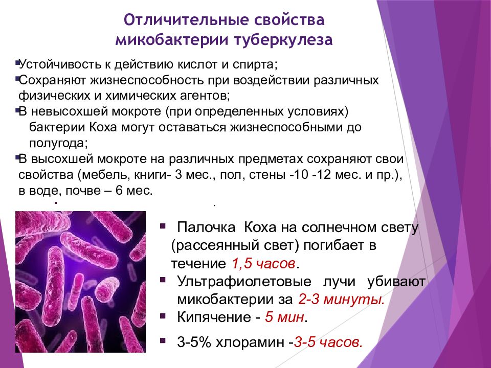 Микобактерии являются