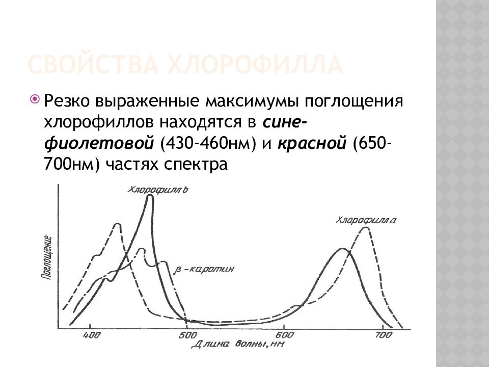 Фотосинтетические Пигменты Свойства хлорофилла