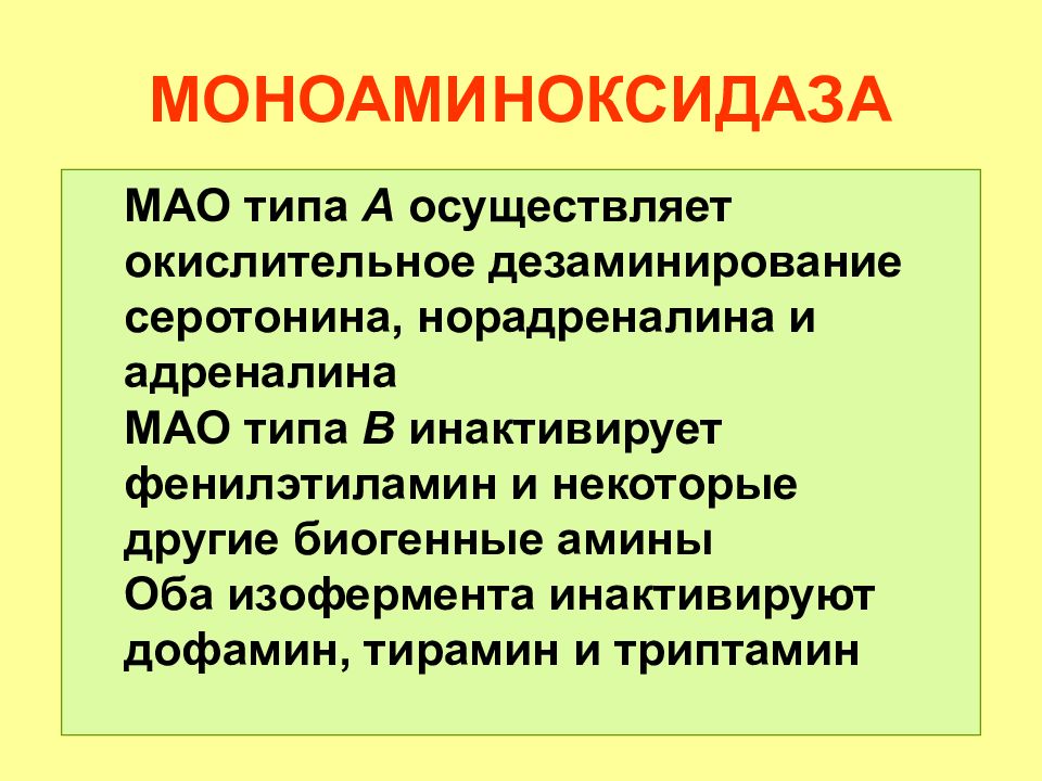 Реакция на мао мао. Моноаминоксидаза. Мао моноаминоксидаза. Функция моноаминоксидазы. Роль моноаминоксидазы.