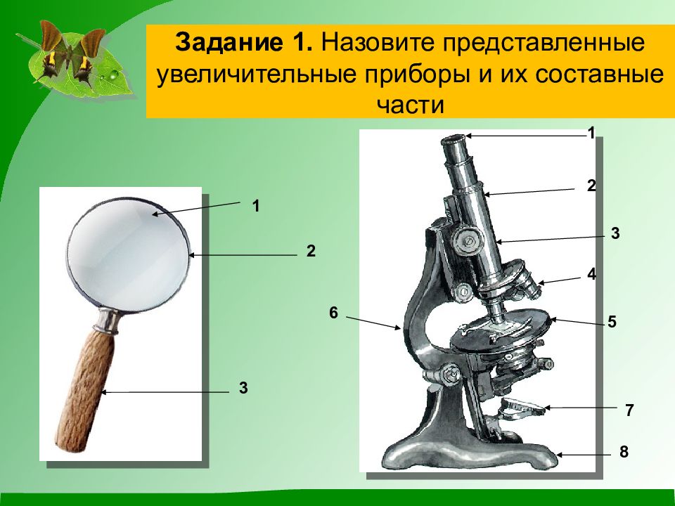 Презентация урока биологии 5 класс увеличительные приборы