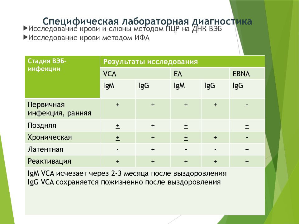 Инфекционный мононуклеоз диагностика