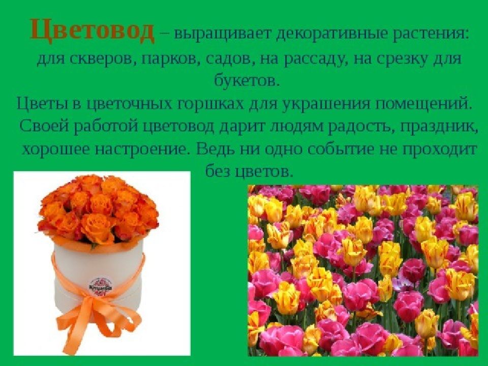 Профессия цветовод