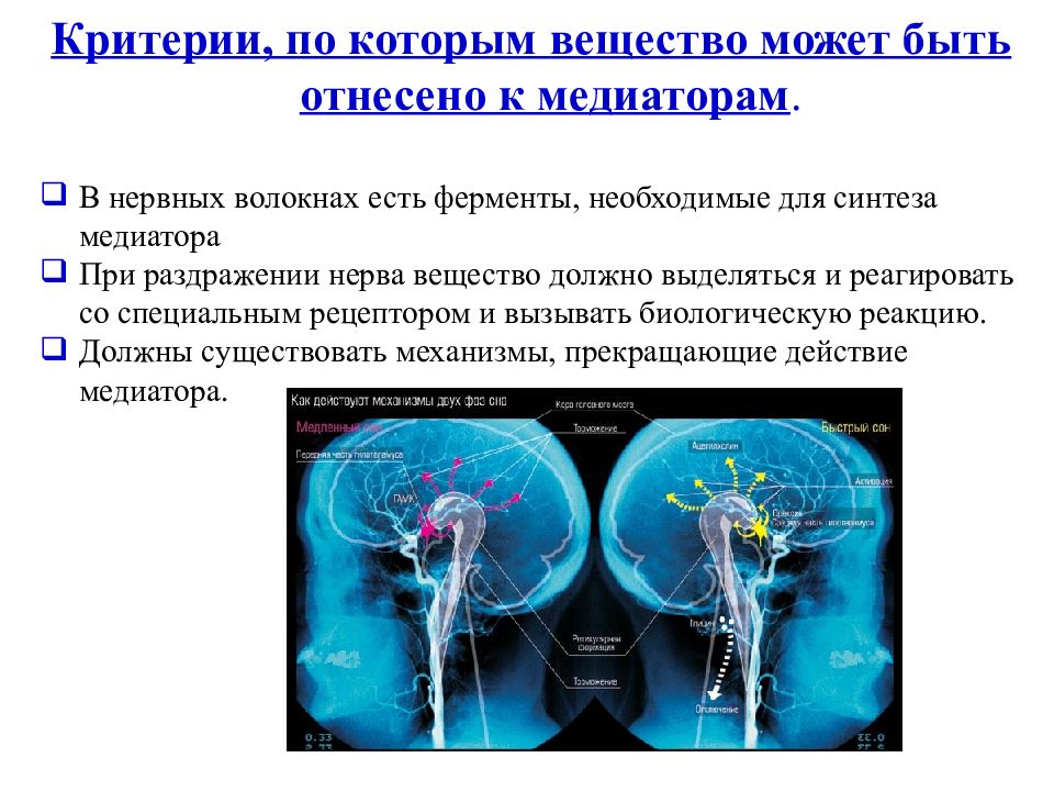 Биохимия нервной системы. Нейромедиаторы нервной ткани. Медиаторы нервной ткани биохимия. К нейромедиаторам относятся.