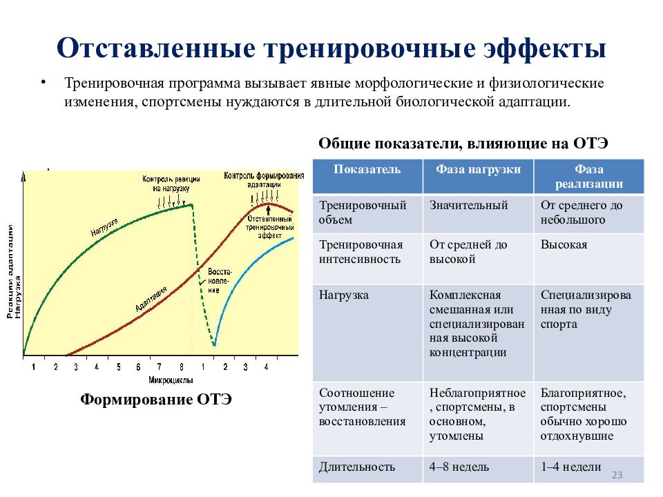 Тренировочный эффект