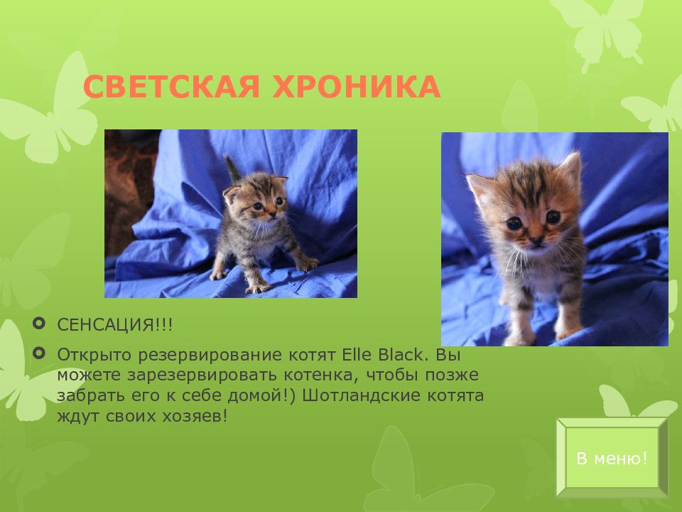 приколы забрал из садика. цитаты психологов про одиночество. You know for kids. тонери ооцуцуки и хината. хината хьюга ооцуцуки.