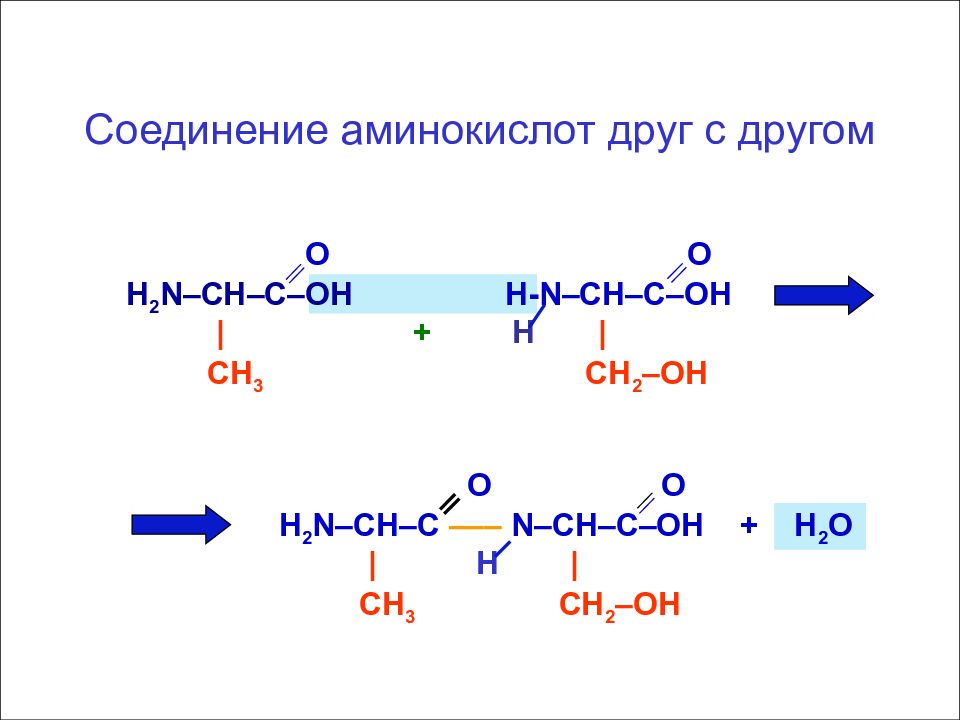 Соединяются друг с другом. Соединение аминокислот друг с другом. Реакция соединения аминокислот. Взаимодействие аминокислот друг с другом реакция. Как соединять аминокислоты.