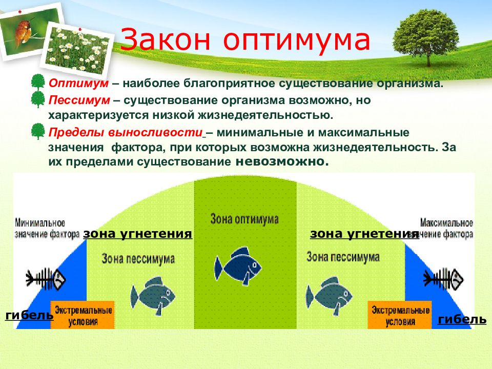 Экология примеры использования интернета